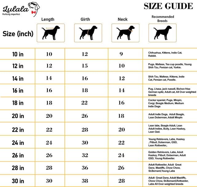 Printed Summer T-Shirts for Dogs