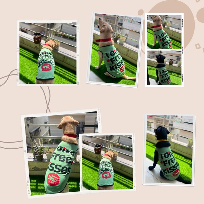 Printed Summer T-Shirts for Dogs