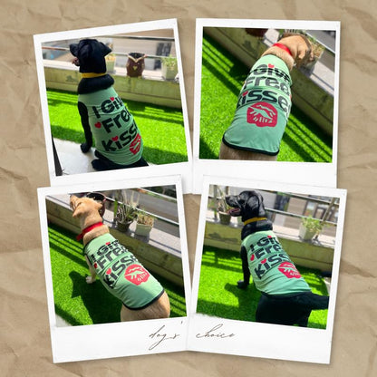 Printed Summer T-Shirts for Dogs