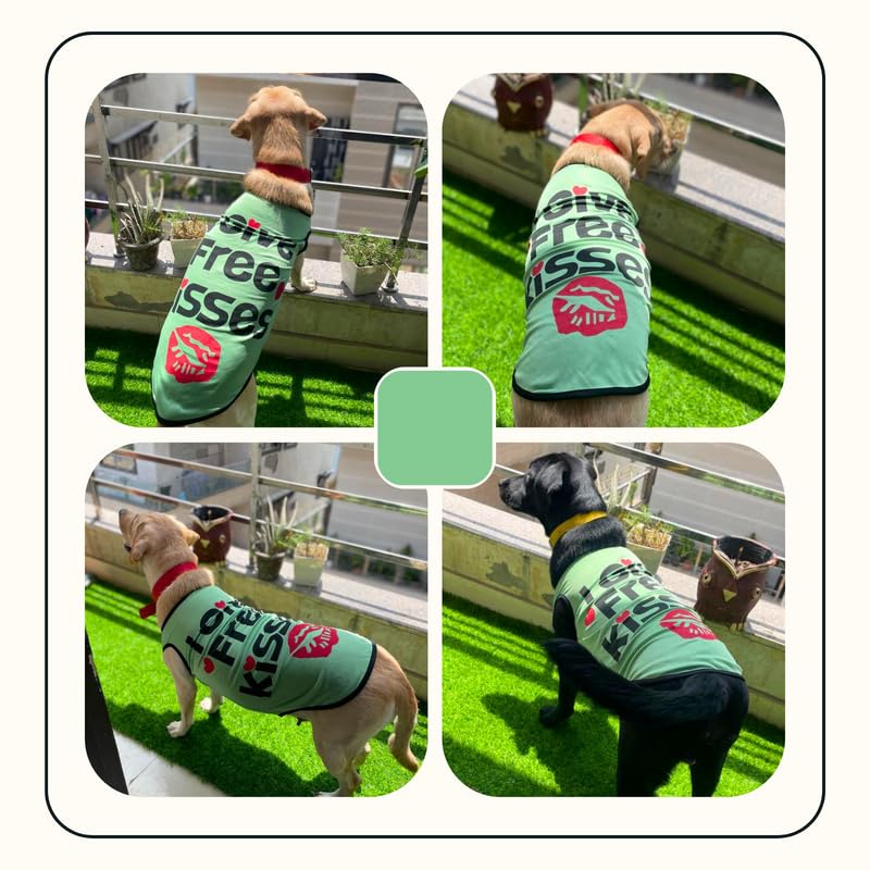 Printed Summer T-Shirts for Dogs