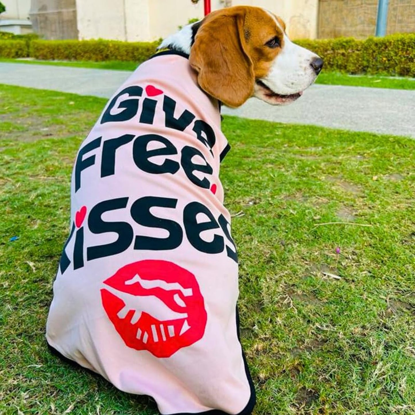 Printed Summer T-Shirts for Dogs