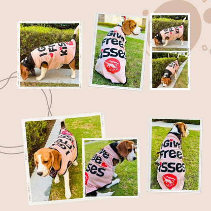 Printed Summer T-Shirts for Dogs