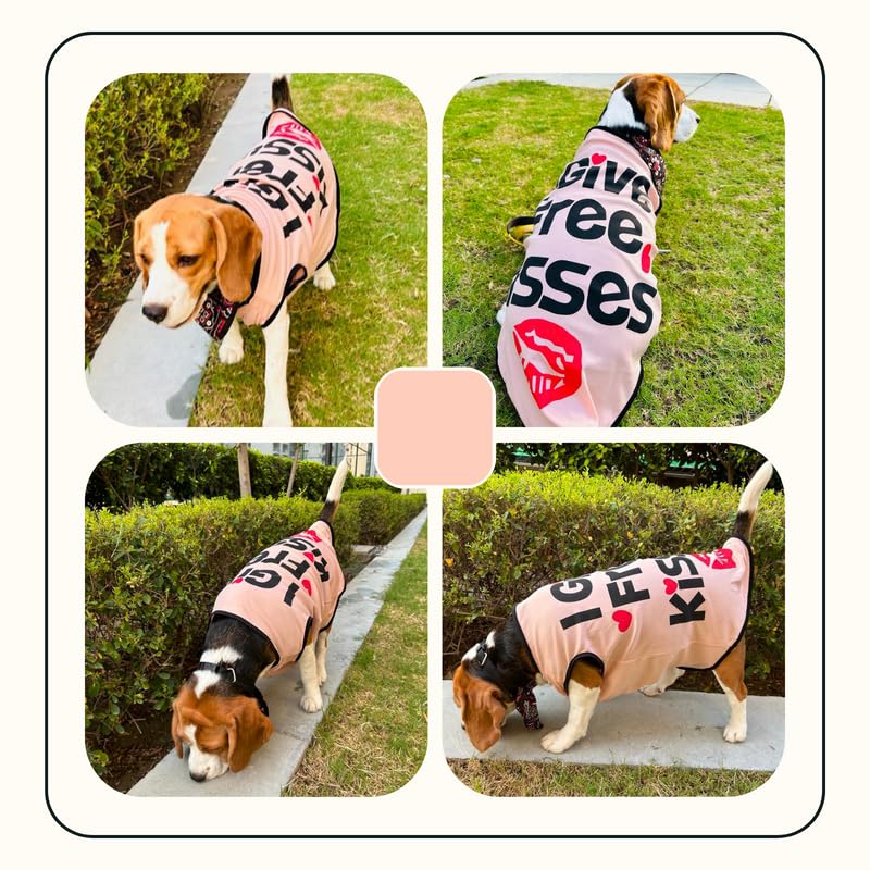 Printed Summer T-Shirts for Dogs