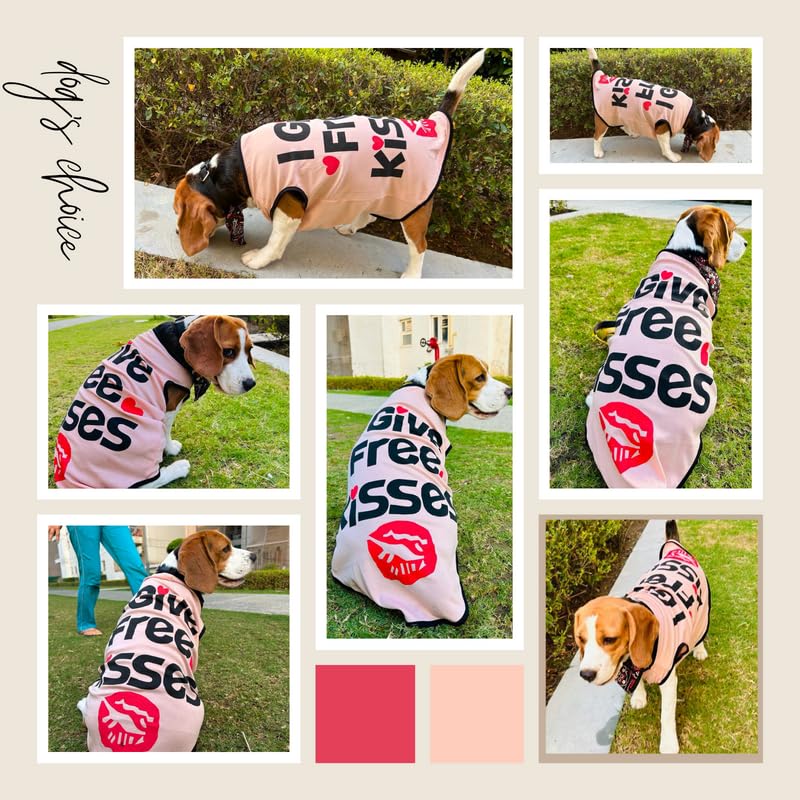 Printed Summer T-Shirts for Dogs