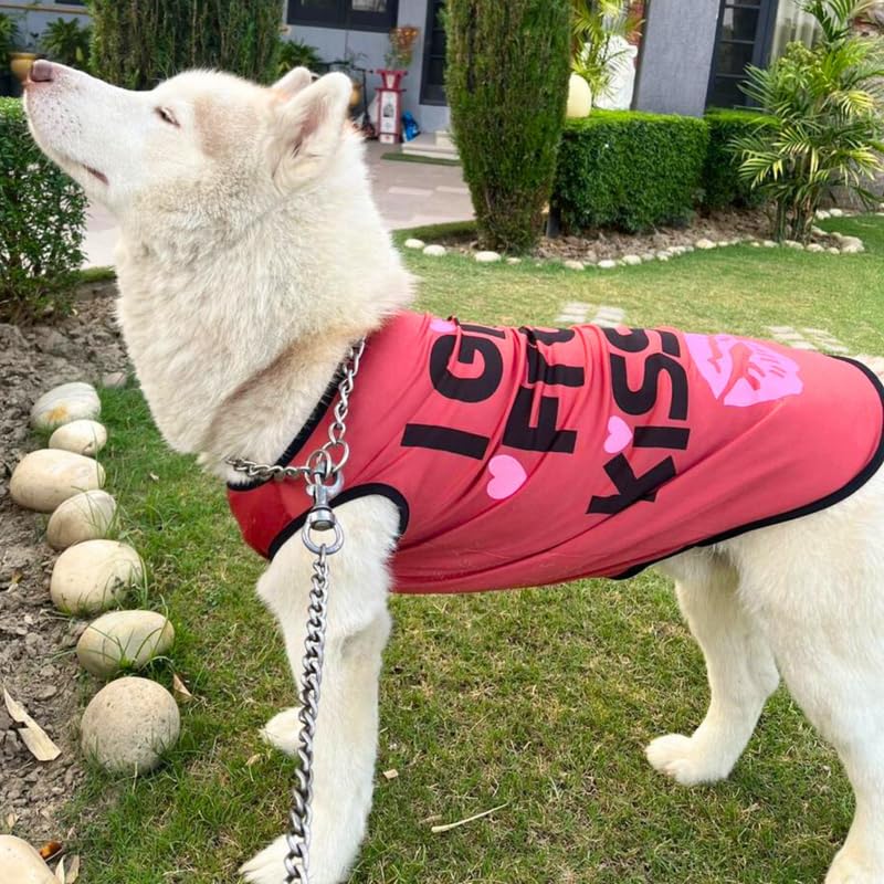 Printed Summer T-Shirts for Dogs