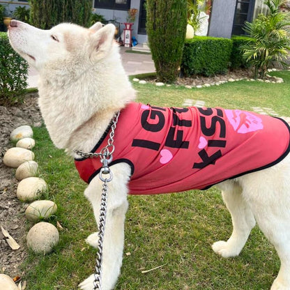 Printed Summer T-Shirts for Dogs