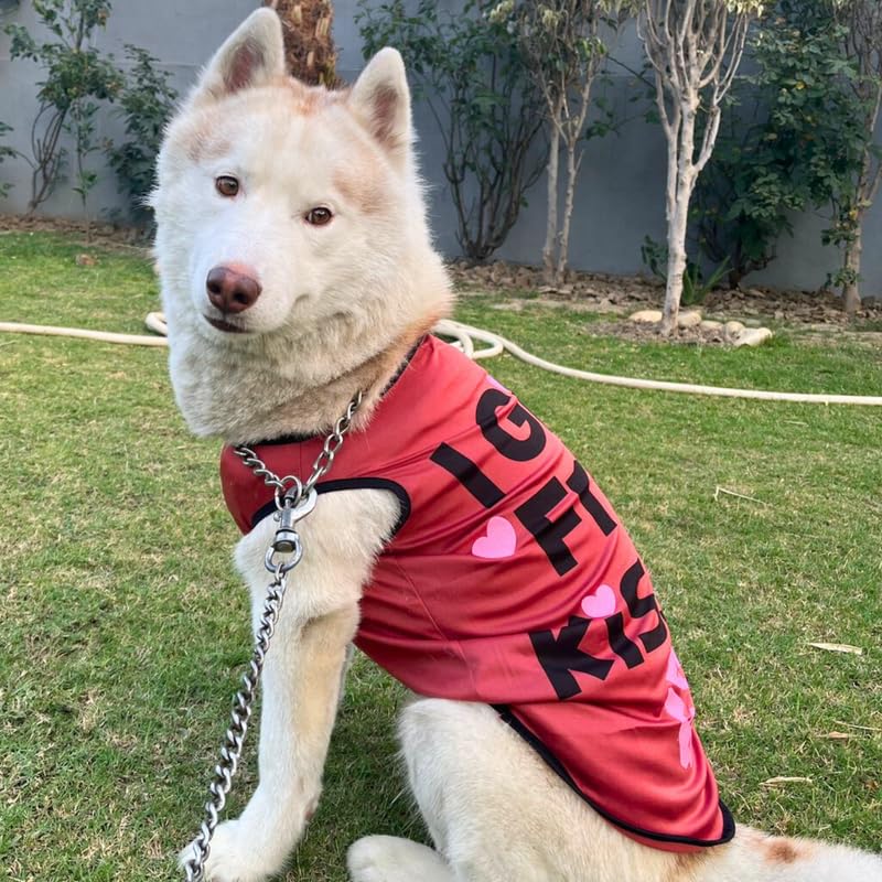 Printed Summer T-Shirts for Dogs