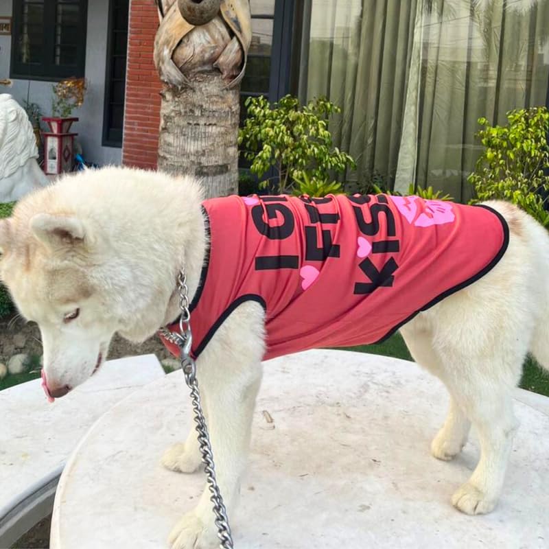 Printed Summer T-Shirts for Dogs