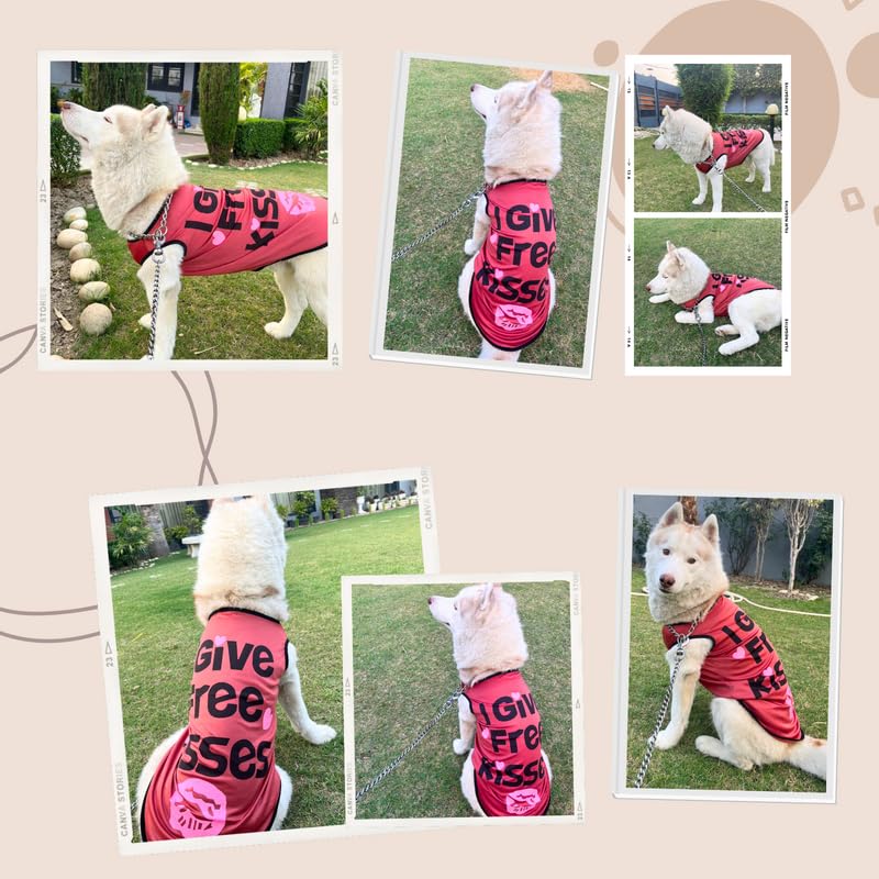 Printed Summer T-Shirts for Dogs