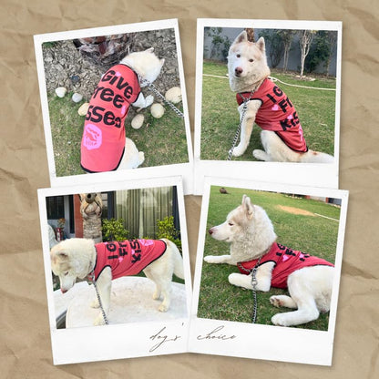 Printed Summer T-Shirts for Dogs