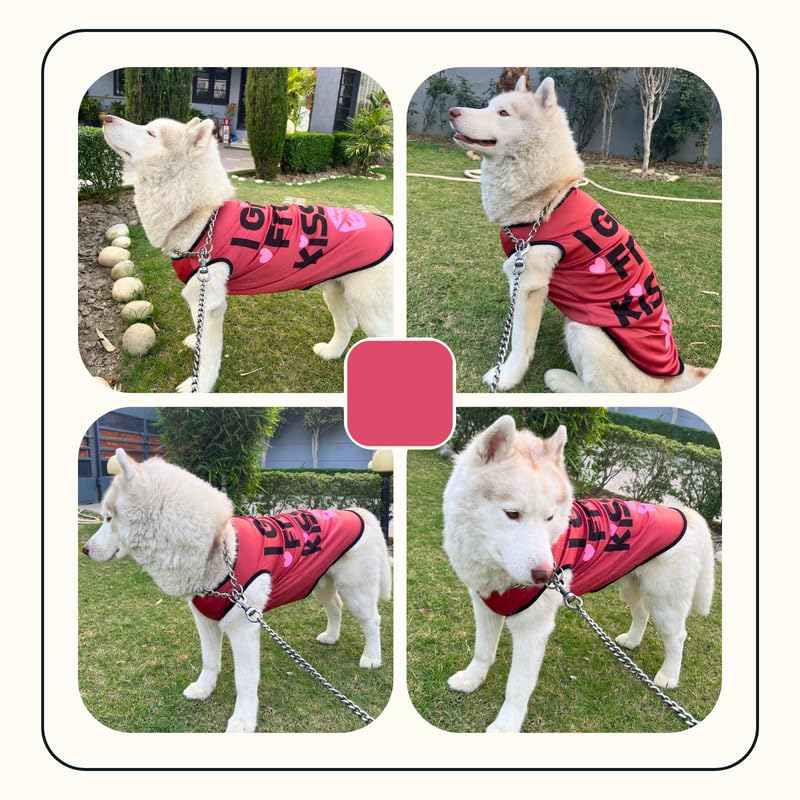 Printed Summer T-Shirts for Dogs