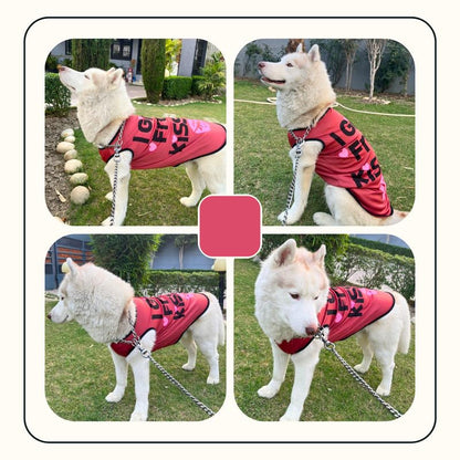 Printed Summer T-Shirts for Dogs