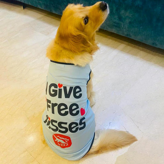 Summer Printed Pet T-Shirt