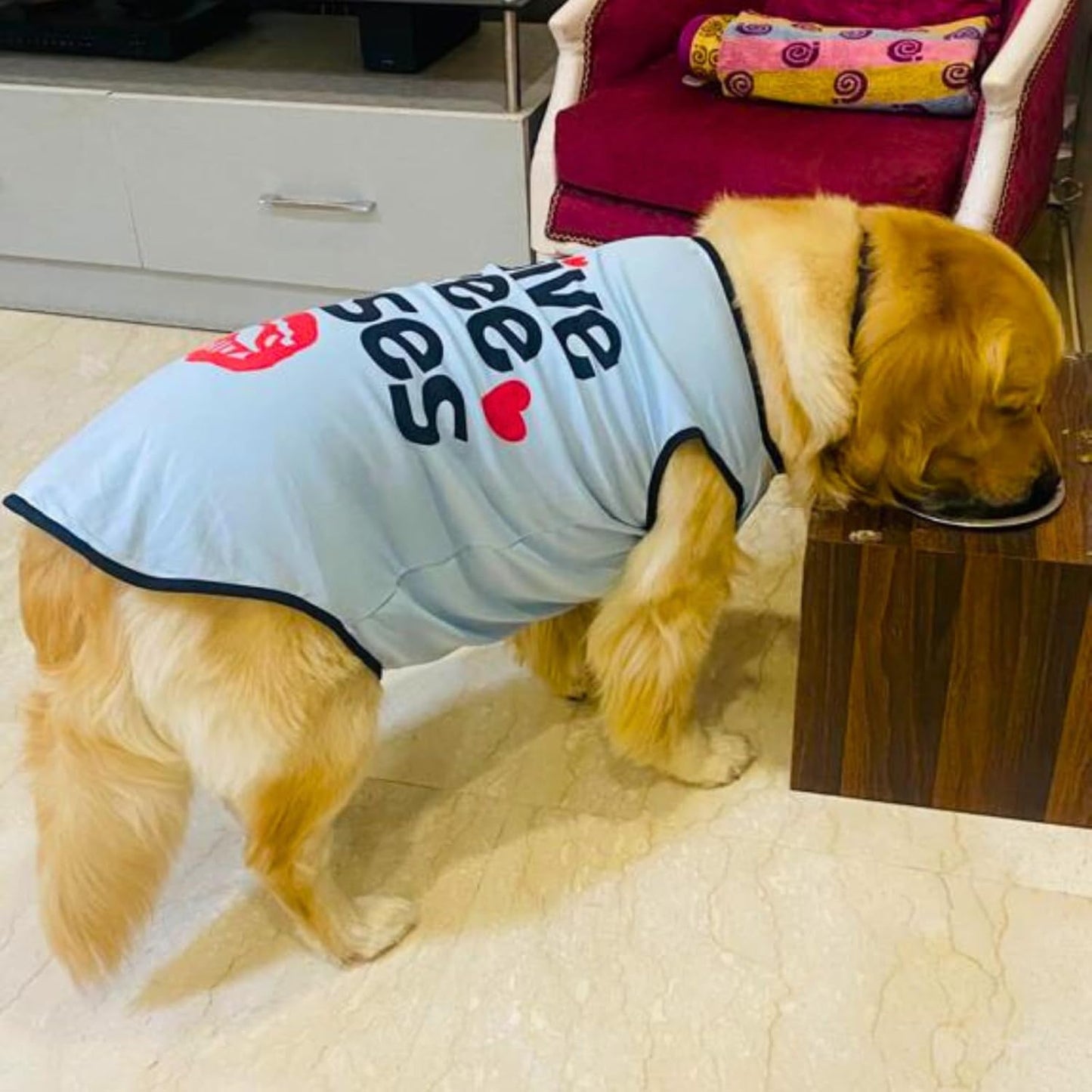 Summer Printed Pet T-Shirt