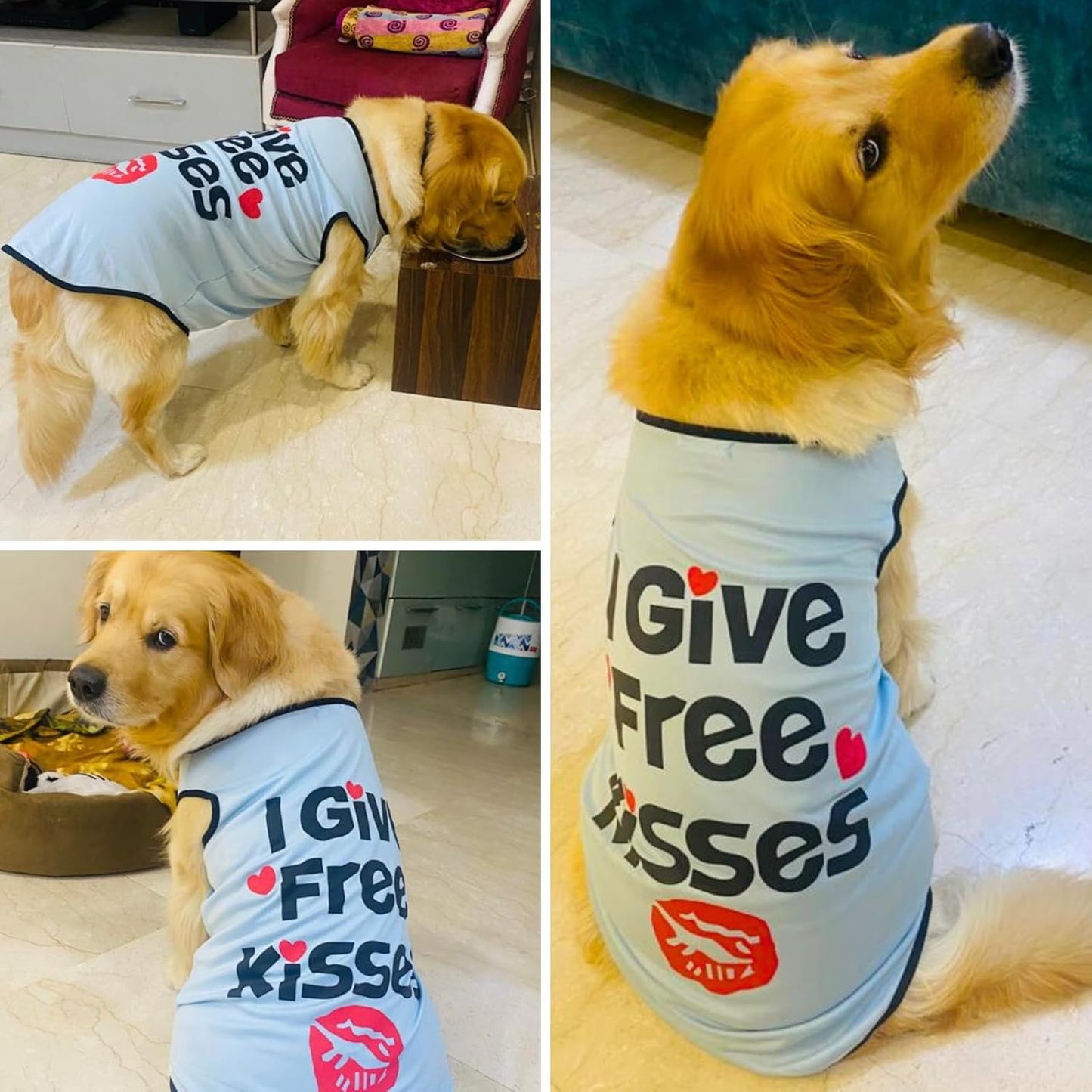 Summer Printed Pet T-Shirt