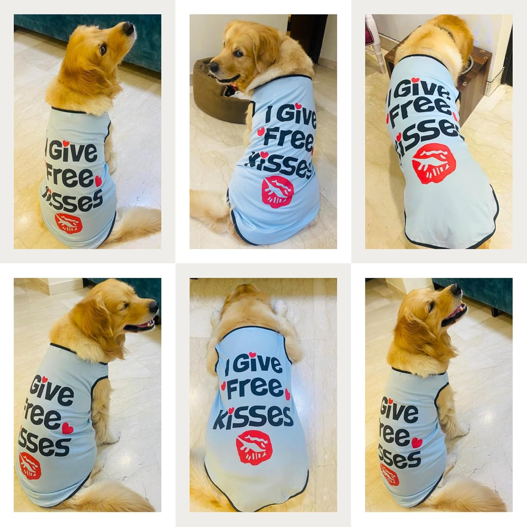 Summer Printed Pet T-Shirt