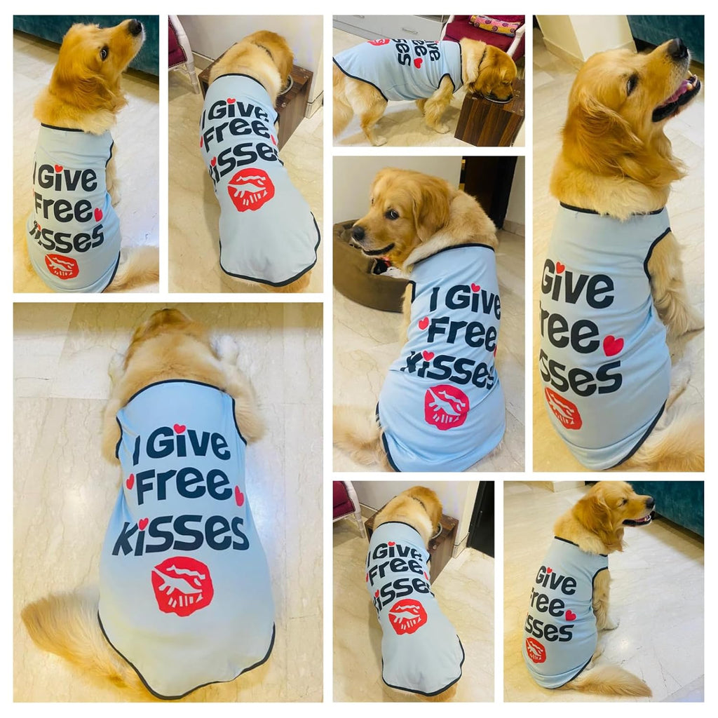 Summer Printed Pet T-Shirt