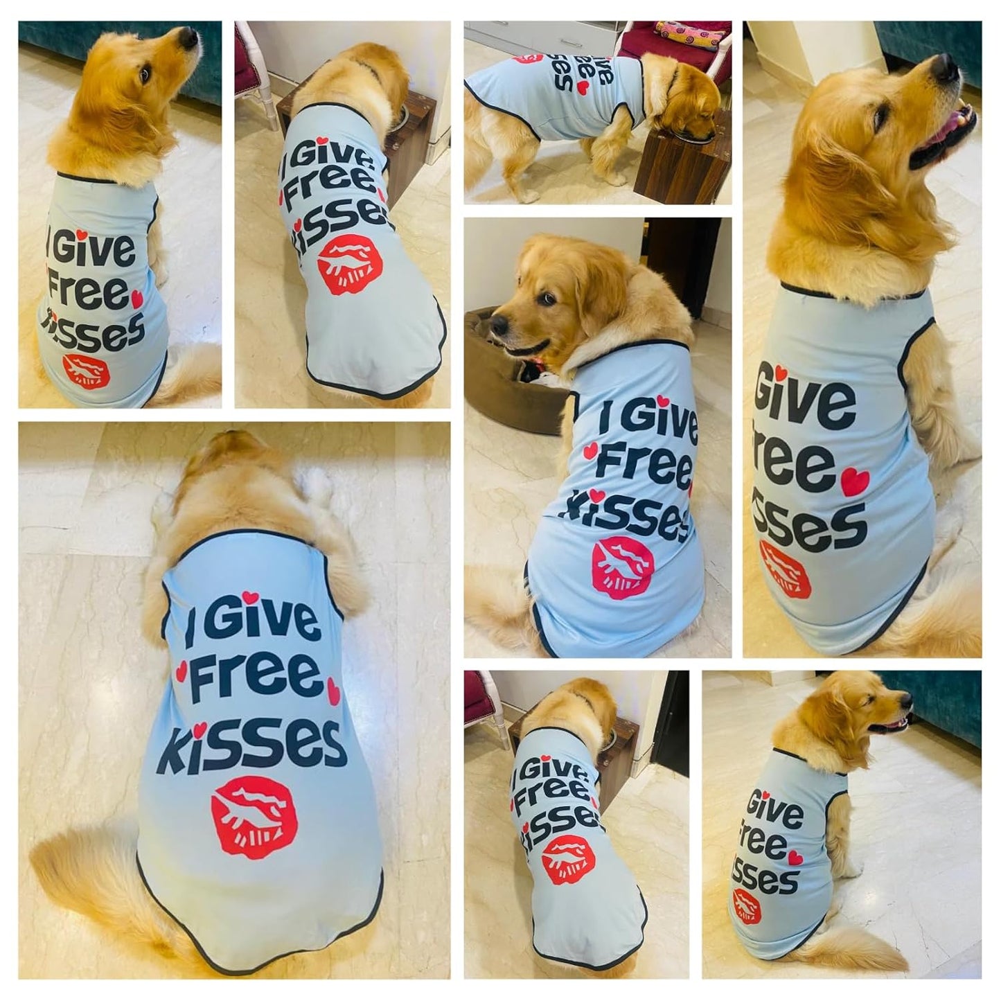Summer Printed Pet T-Shirt