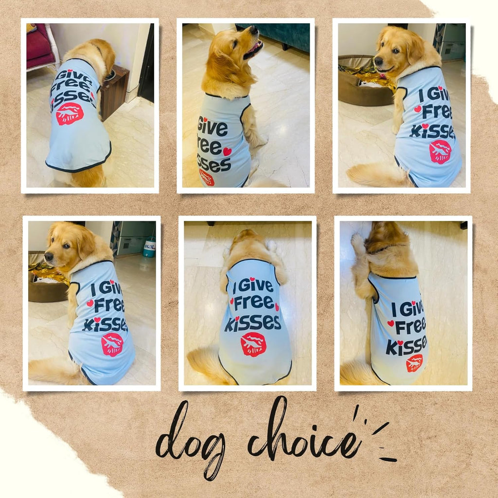 Summer Printed Pet T-Shirt