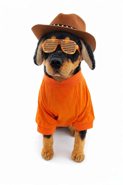 Dog T-Shirt Costume “Will Do Trick for Treats”