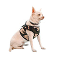 Dog Harness and Leash Set