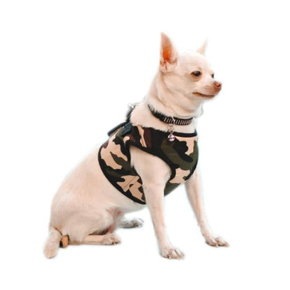 Dog Harness and Leash Set