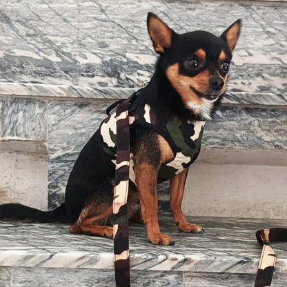 Dog Harness and Leash Set