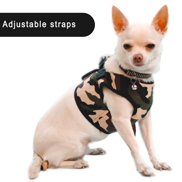 Dog Harness and Leash Set