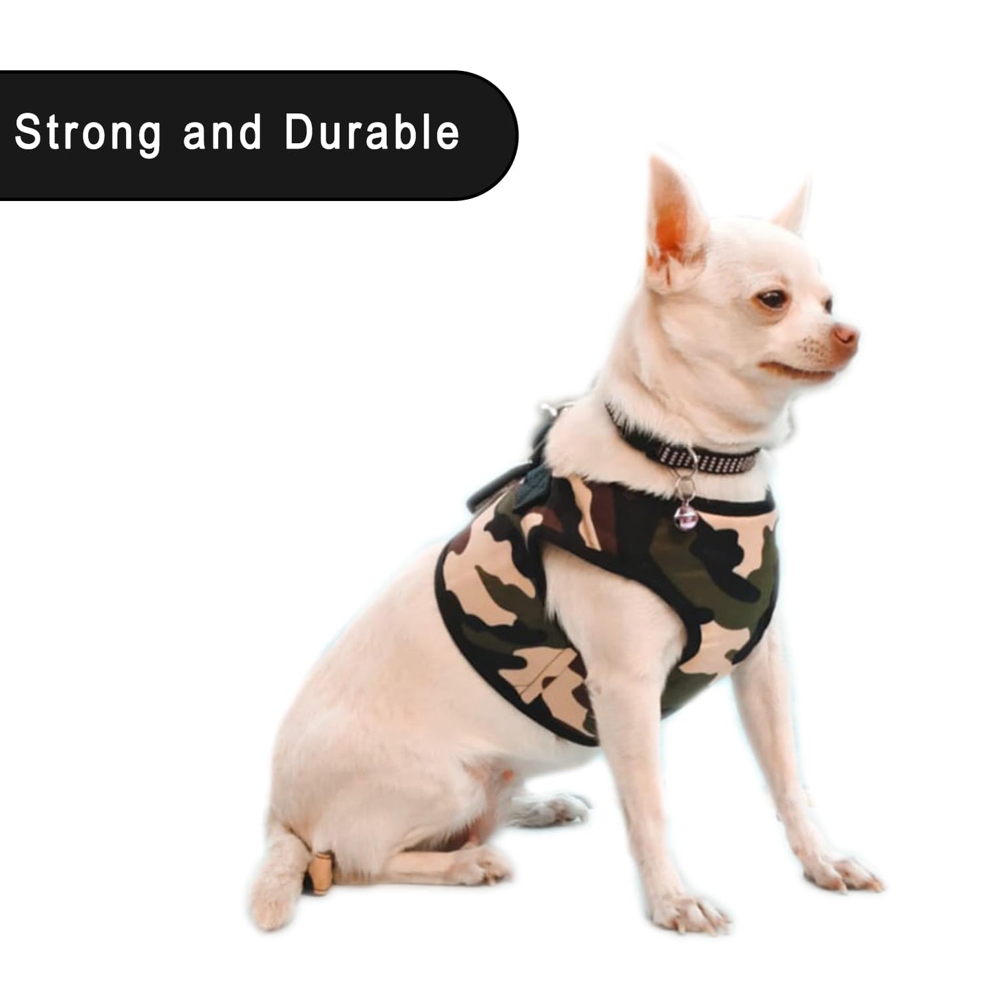 Dog Harness and Leash Set