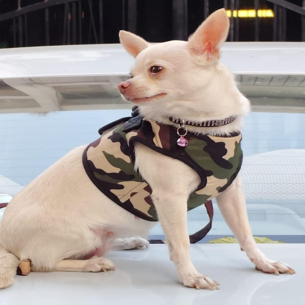 Dog Harness and Leash Set