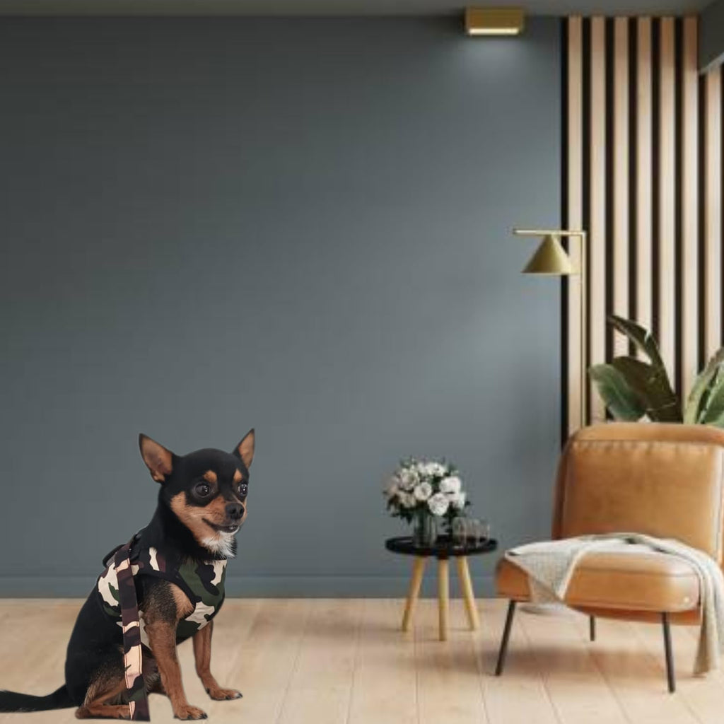 Dog Harness and Leash Set