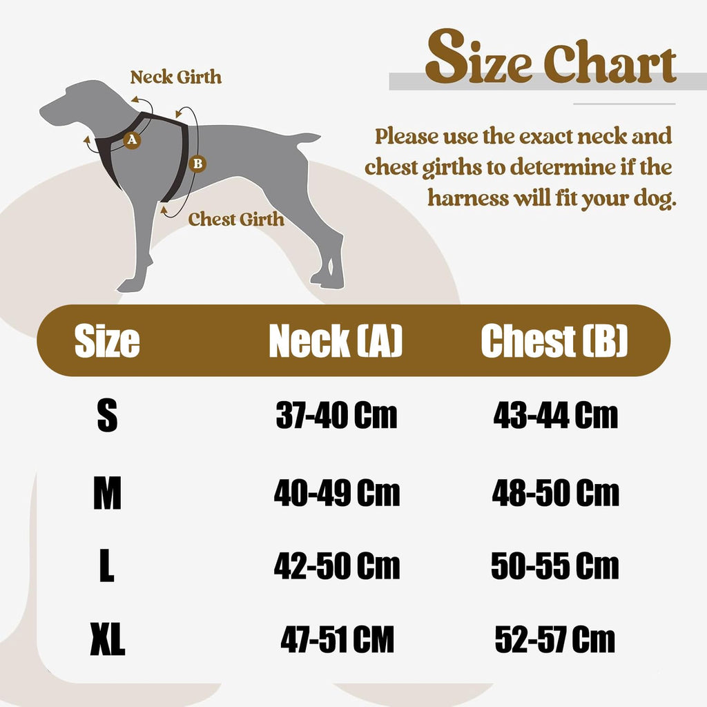 Puppy Vest Harness & Leash Set