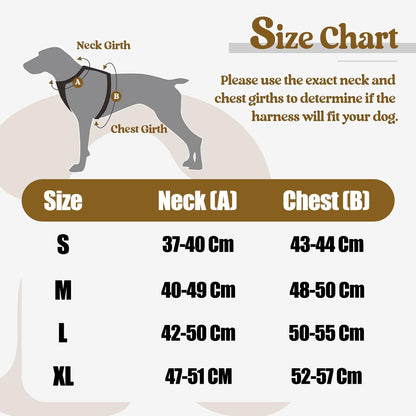 Puppy Vest Harness & Leash Set