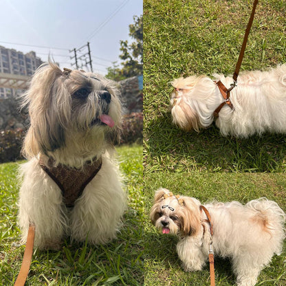 Puppy Vest Harness & Leash Set