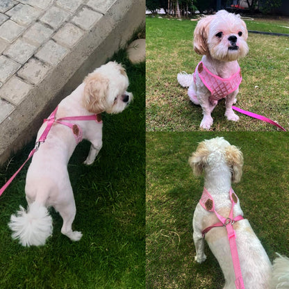 Vest Harness and Leash Set for Dogs