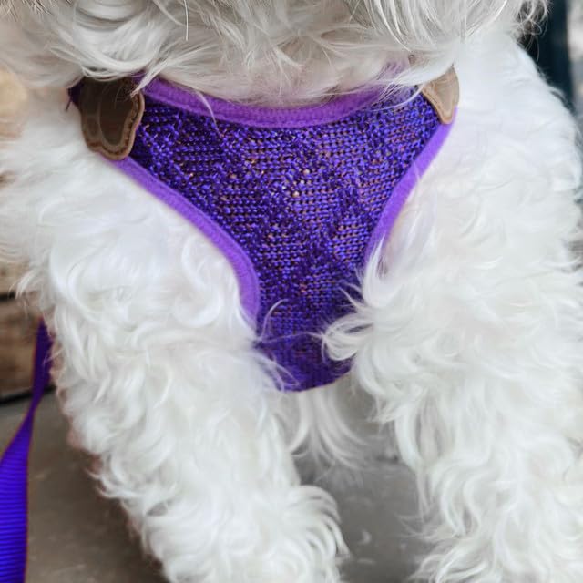 Vest Harness and Leash Set for Dogs