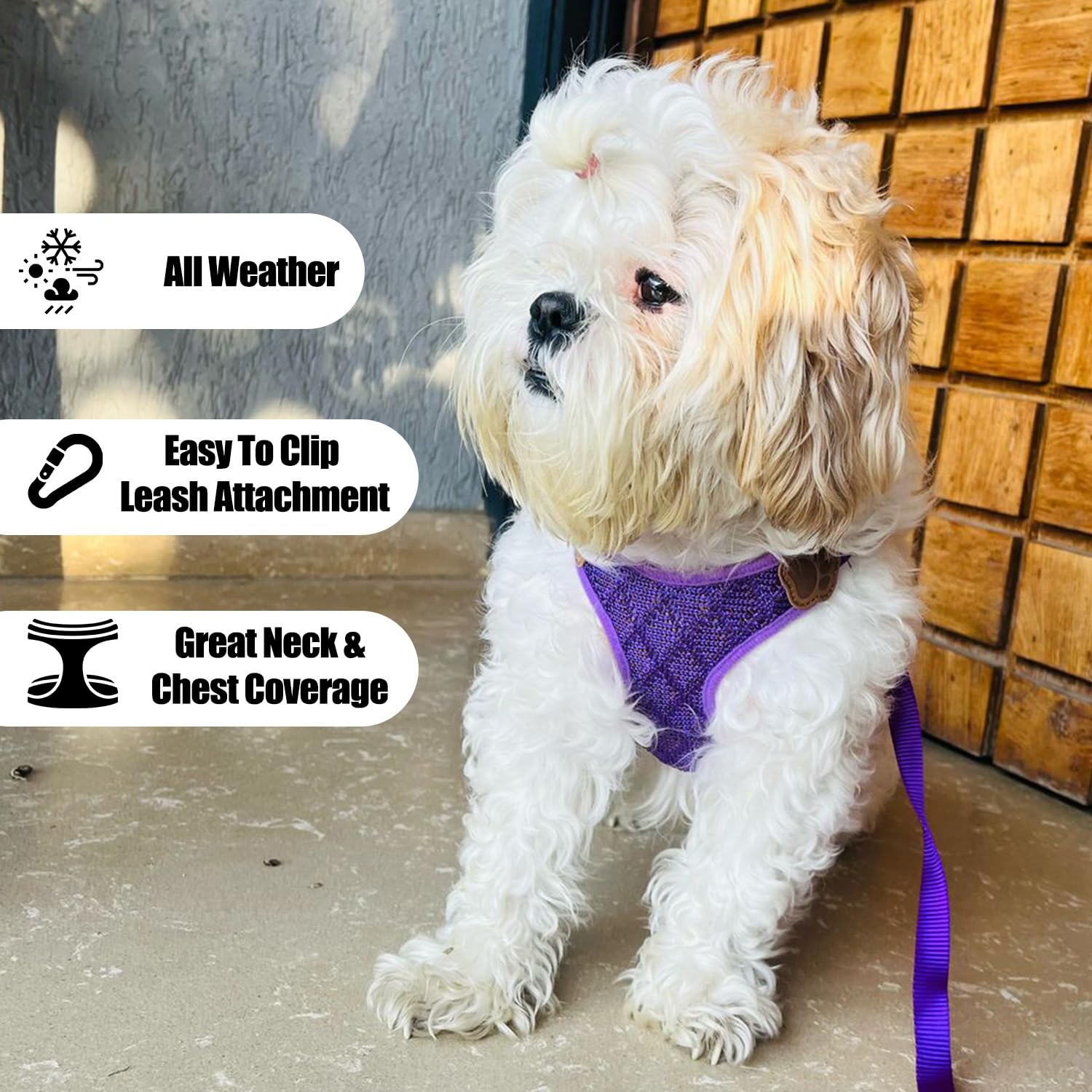 Vest Harness and Leash Set for Dogs