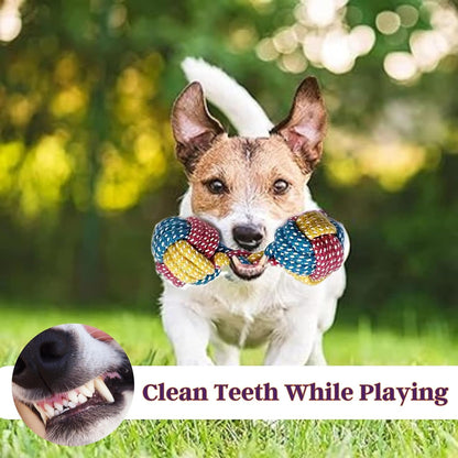 5-in-1 Puppy Rope Toy Set