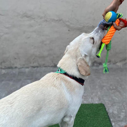 Cotton Puppy Rope Chew Toys