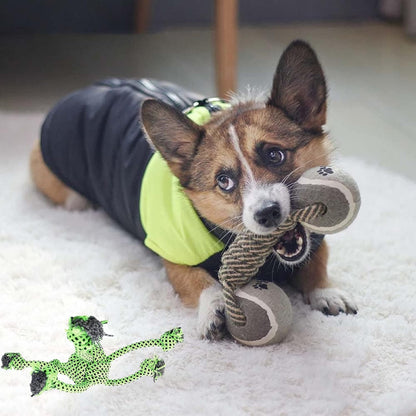 Dog Chew Toy Combo Pack