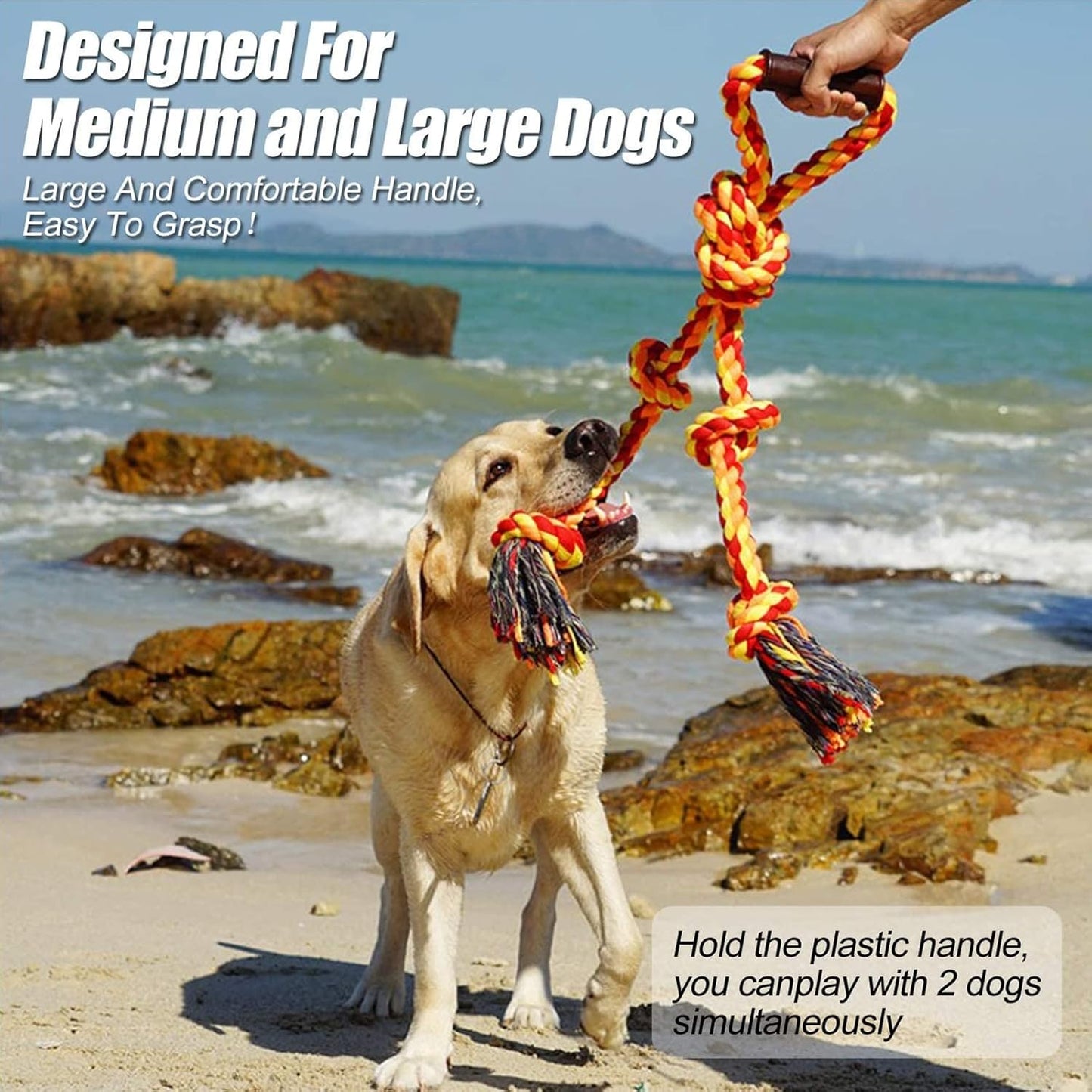 Dog Chew Toy Combo Pack