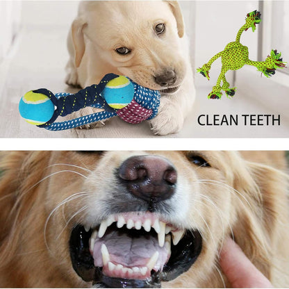 Dog Chew Toy Combo Pack