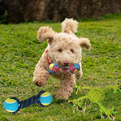 Dog Chew Toy Combo Pack
