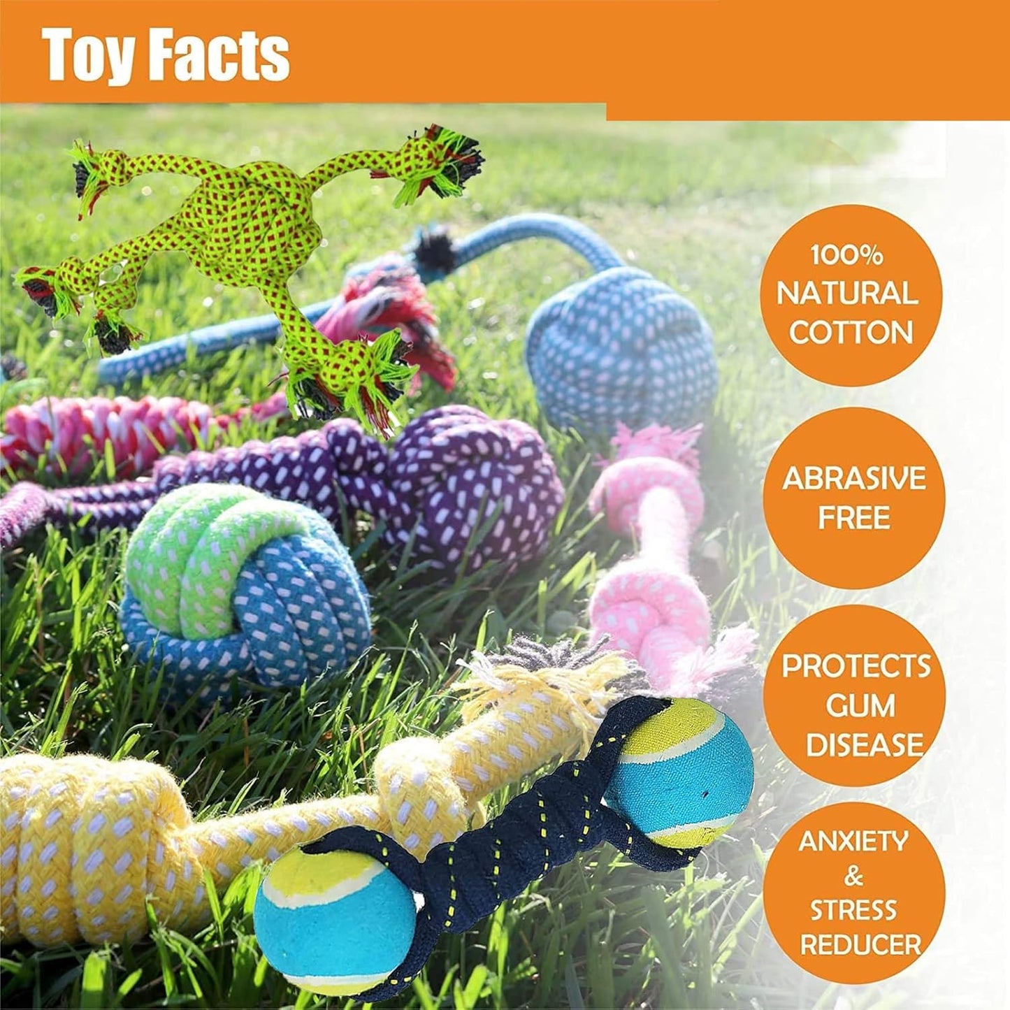 Dog Chew Toy Combo Pack