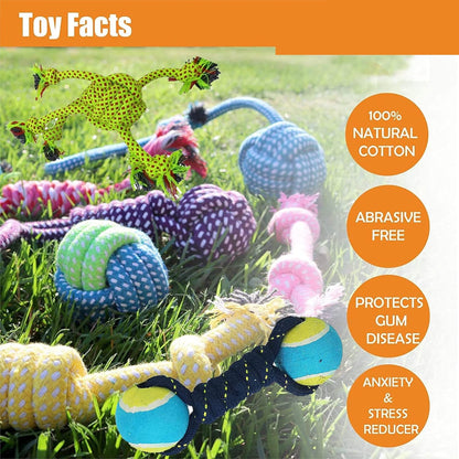 Dog Chew Toy Combo Pack