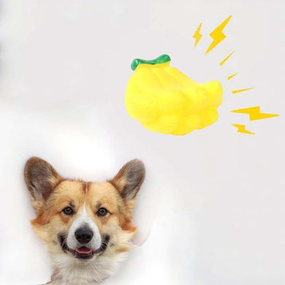 Puppy Teething Toy Combo Pack