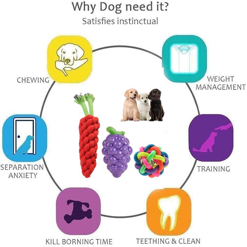 Puppy Chew Toy Combo Set