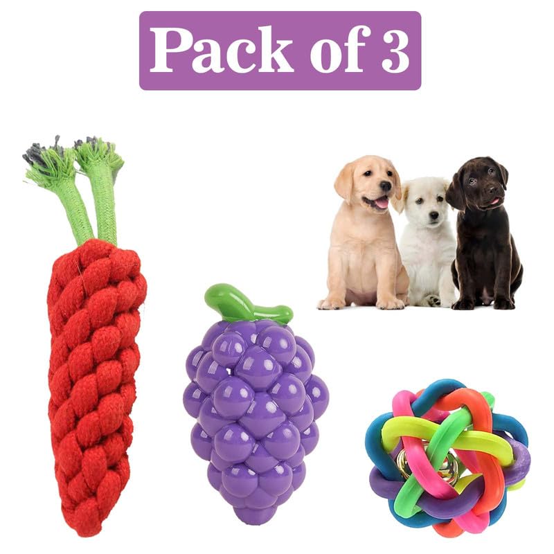 Puppy Chew Toy Combo Set