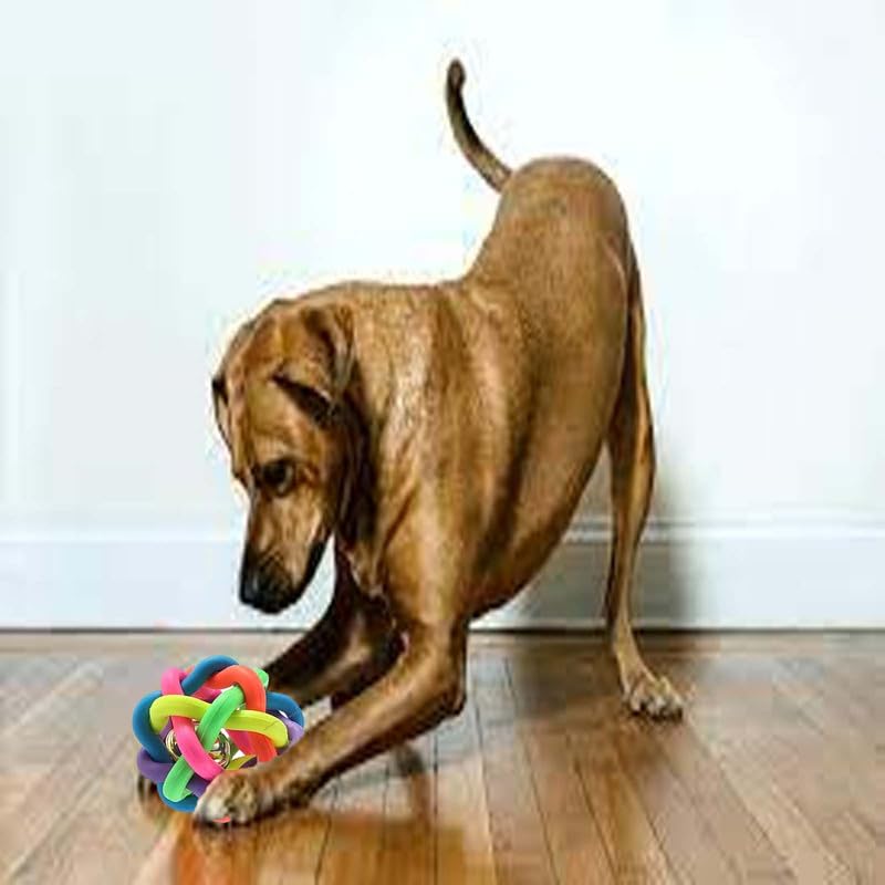 Puppy Chew Toy Combo Set