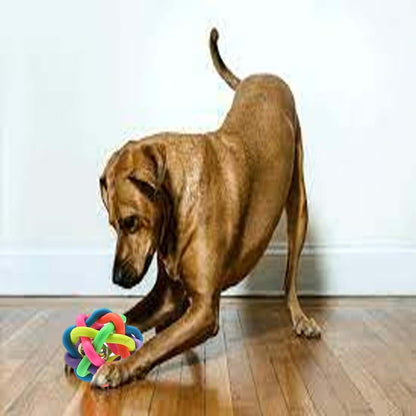 Puppy Chew Toy Combo Set
